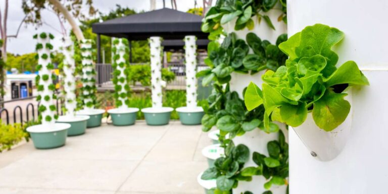 10 Compelling Reasons to Try Hydroponic Gardening