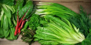 The Best Plants for Hydroponic Gardening: A Beginner’s Guide